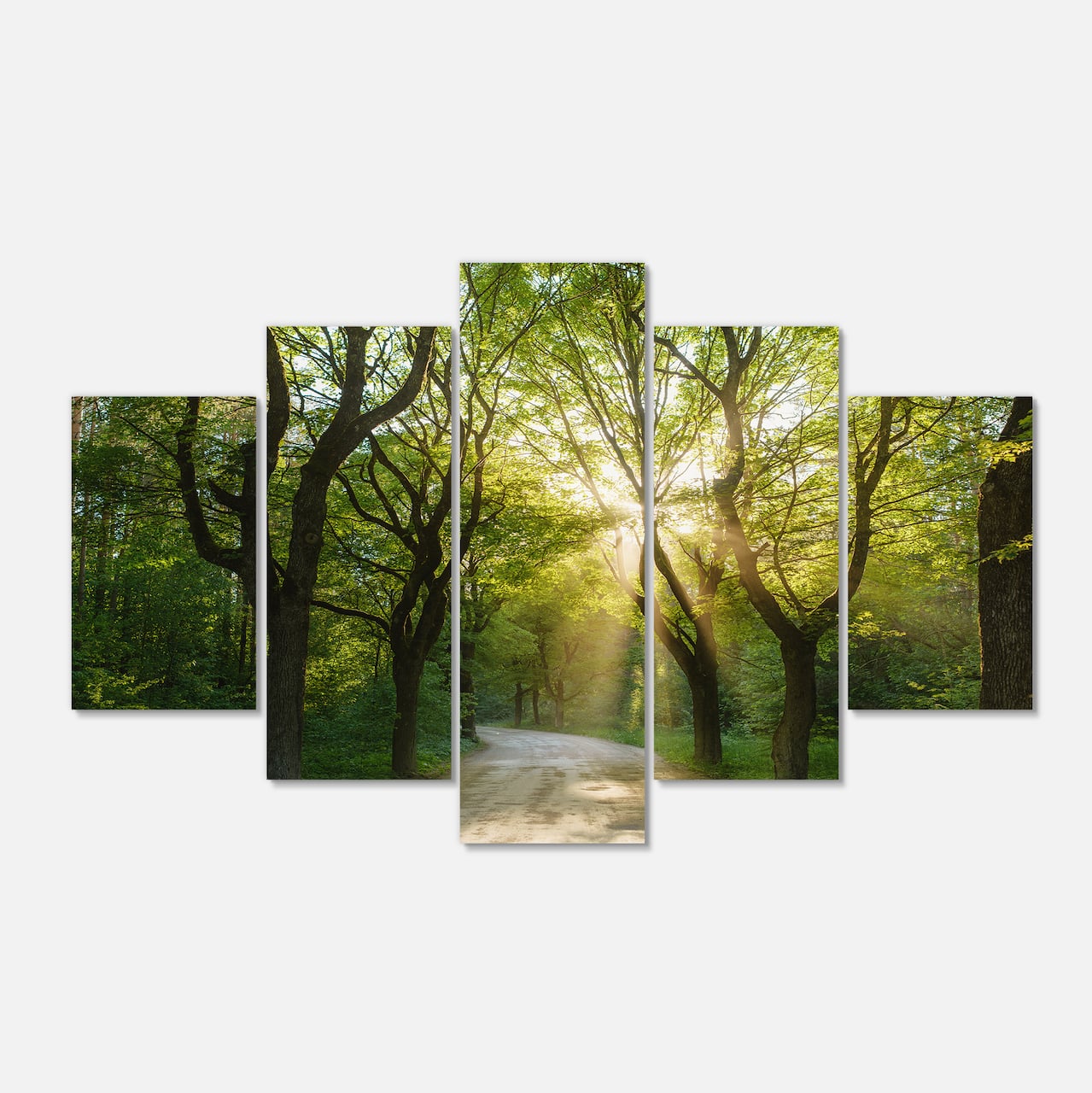 Designart - Evening in Green Forest - Landscape Canvas Art Print